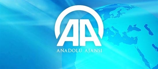 Anadolu Ajansı, yılın en iyi fotoŸraflarını belirledi