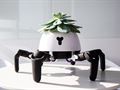   Robot providing freedom of movement to plants: Hexa 