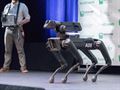   Boston Dynamics will produce 1000 robot dogs a year 