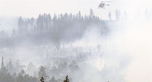   Sweden intervened with forest bombs 