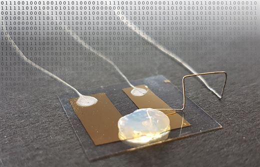   The world's smallest transistor: only one atomic size 
