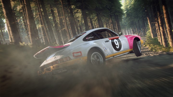 yüksek grafikli ralli yarış oyunu Dirt Rally 2