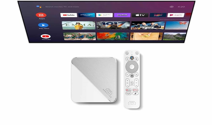 Homatics Box R 4K Plus lisanslı Android TV box