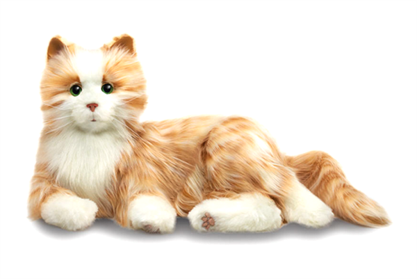 En Gercekci Robot Kedi Teknoloji Haberleri