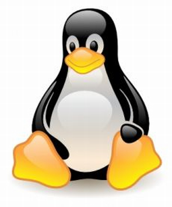 Linux, netbook dünyasındaki pozisyonunu kaybedebilir
