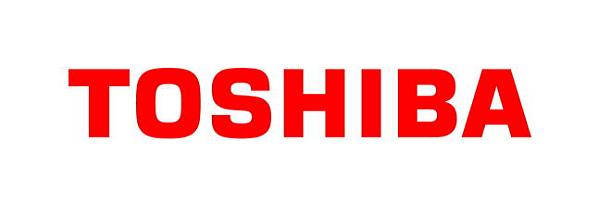 Toshiba elektronik kitap okuyucusu pazarına giriyor