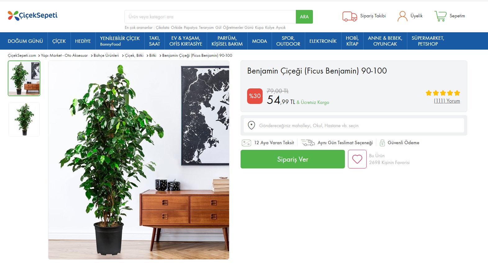 Кактус и фикус магазин в орле. Магазин цветов кактус и фикус. Бенджамин рутрекер. Кактус и фикус магазин в орле. Кактус и фикус магазин в орле.